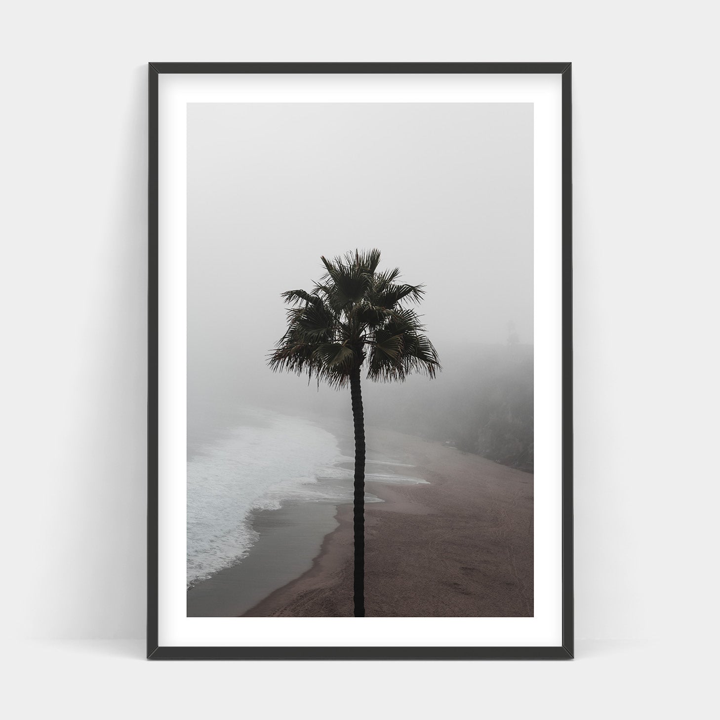 LONELY PALM